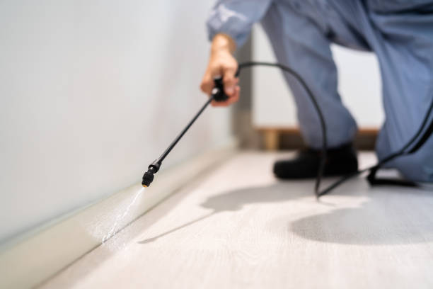 Licensed Pest Control service in Easton, PA - Show Me Pest Control